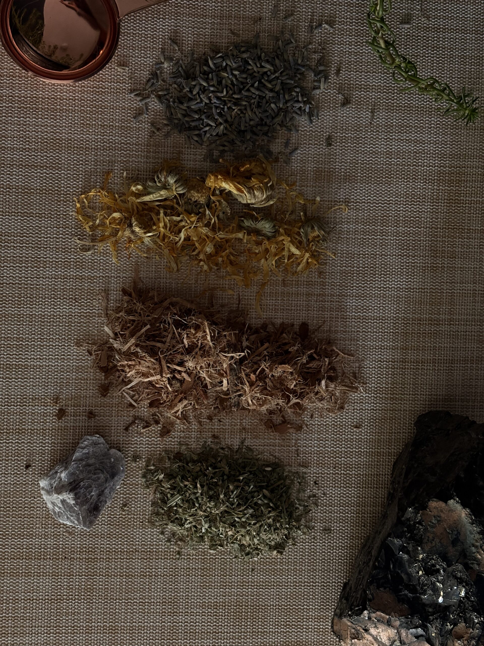 Botanical flat lay - The Archives